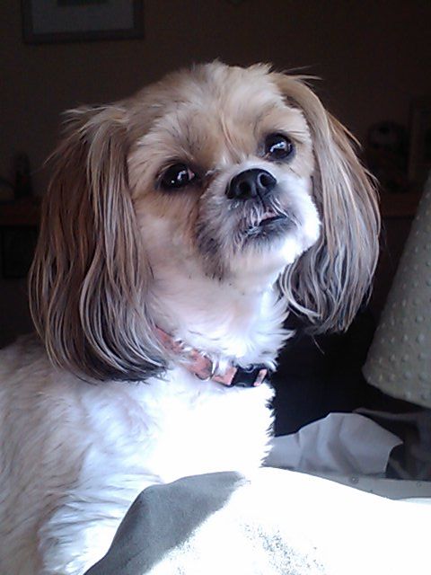 My little princess, Ginny