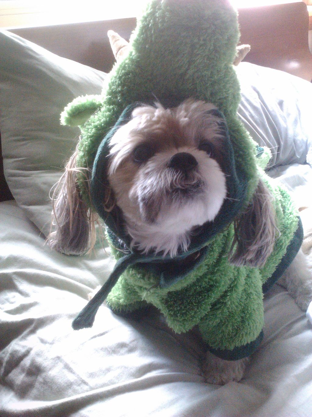 Ginny at Halloween - grrrrr, I'm a dinosaur!!!