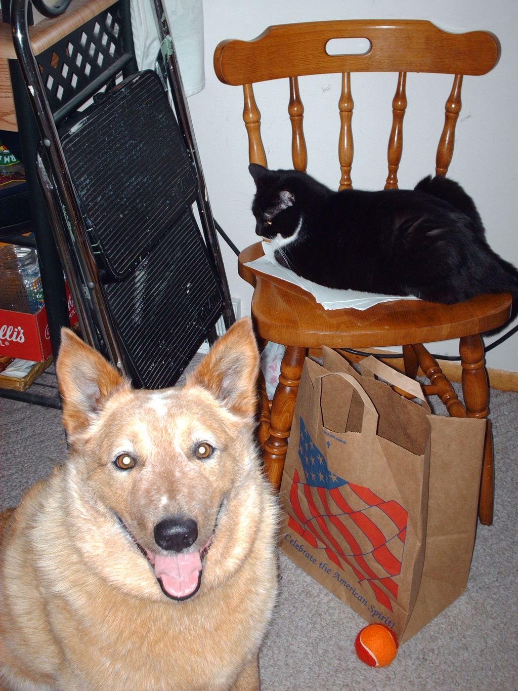 More pets from my past...I've always had pets and 