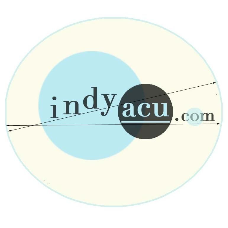 {Indy Acupuncture} & {Indy Downtown Community A...