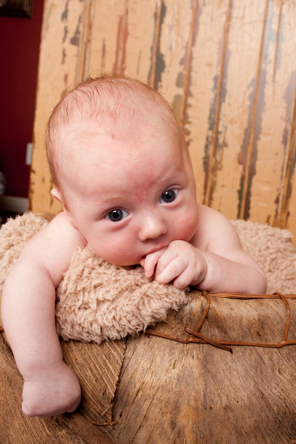 Infant