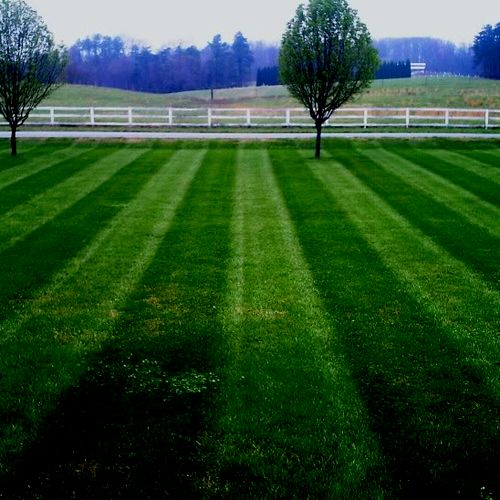 mowing Stripes