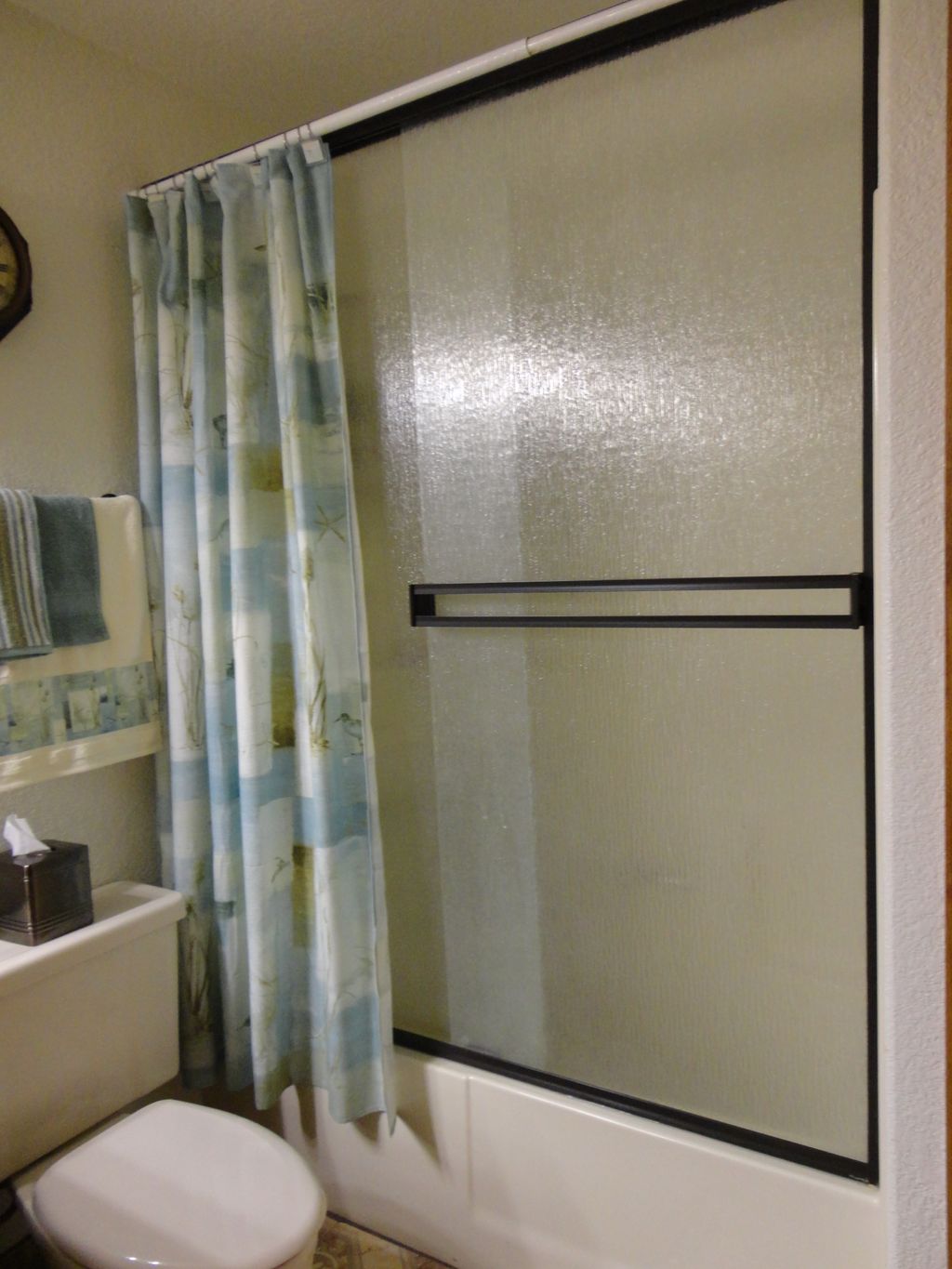 Shower Door