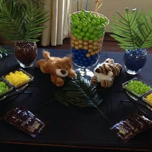 "Safari" Theme Birthday Party Candy Buffet