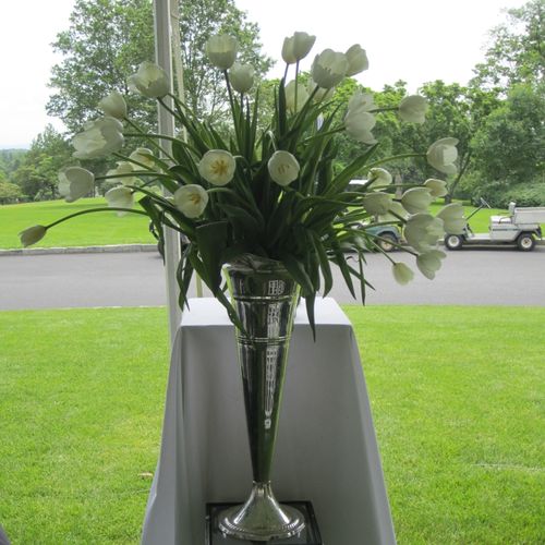 White French tulips for an outside ceremony