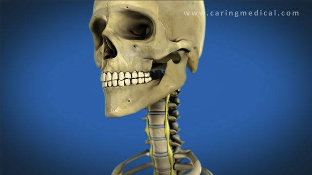 Medical Illustration