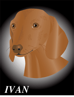 Illustrated dog portrait