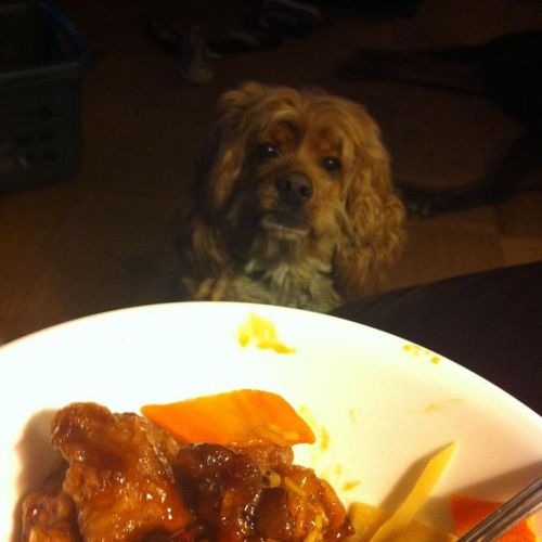 Yes, Buster.  I'm going to eat all of this food.  