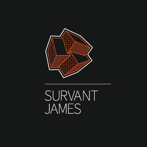 Visual identity for Survant James, A digital desig