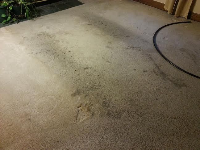 Before Carpet Cleaning Las Vegas the GreenWay