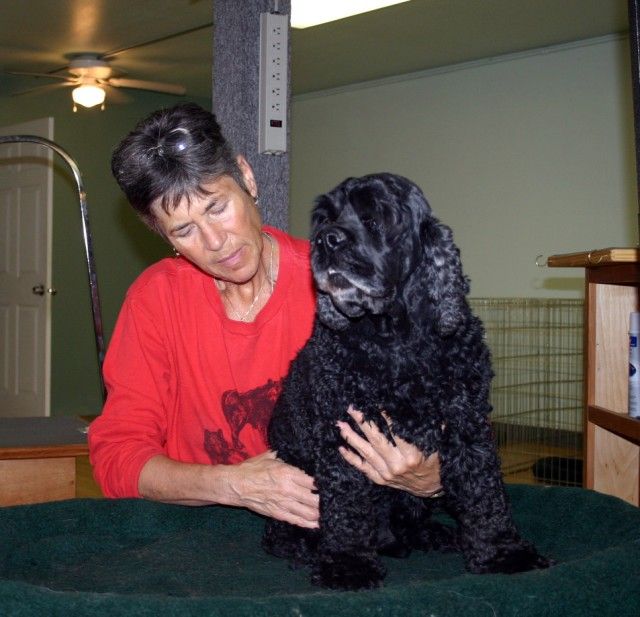 Massage loosens muscles so a dog has ease of movem