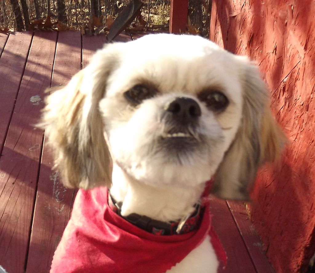 This is Mr. Bentley