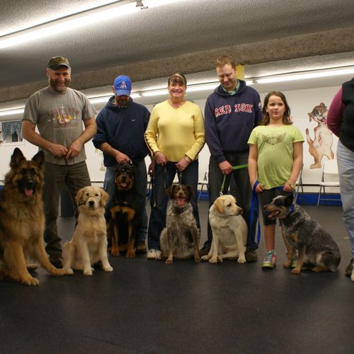 Several Obedience & Nose Work Training & Events fo