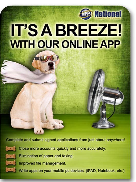 Email campaigns that are creative and unique