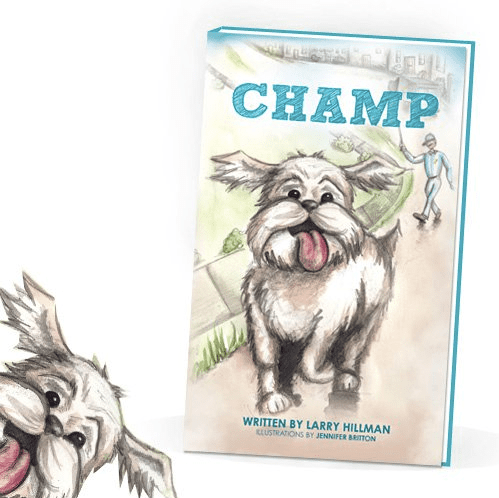 Character design and illustrations for "Champ" chi