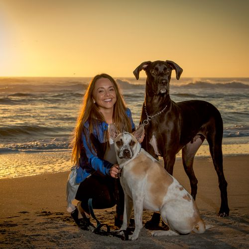 sunrise beach shoot with the pooches