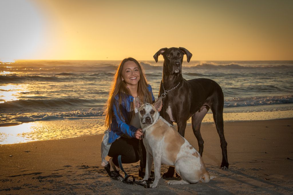 sunrise beach shoot with the pooches