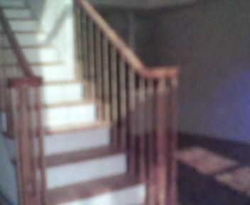Refinish stair well ,Railing and treads