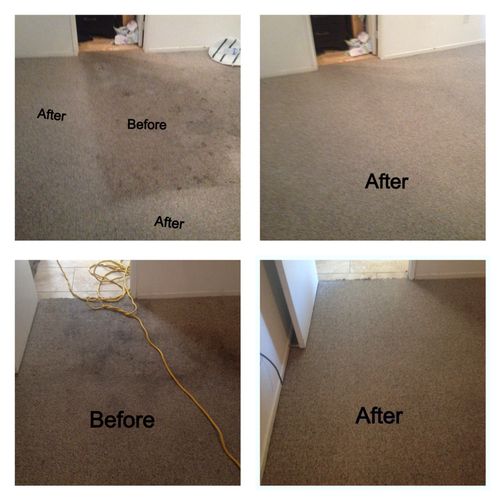 Commercial, Residential Carpet Cleaning in Salton 