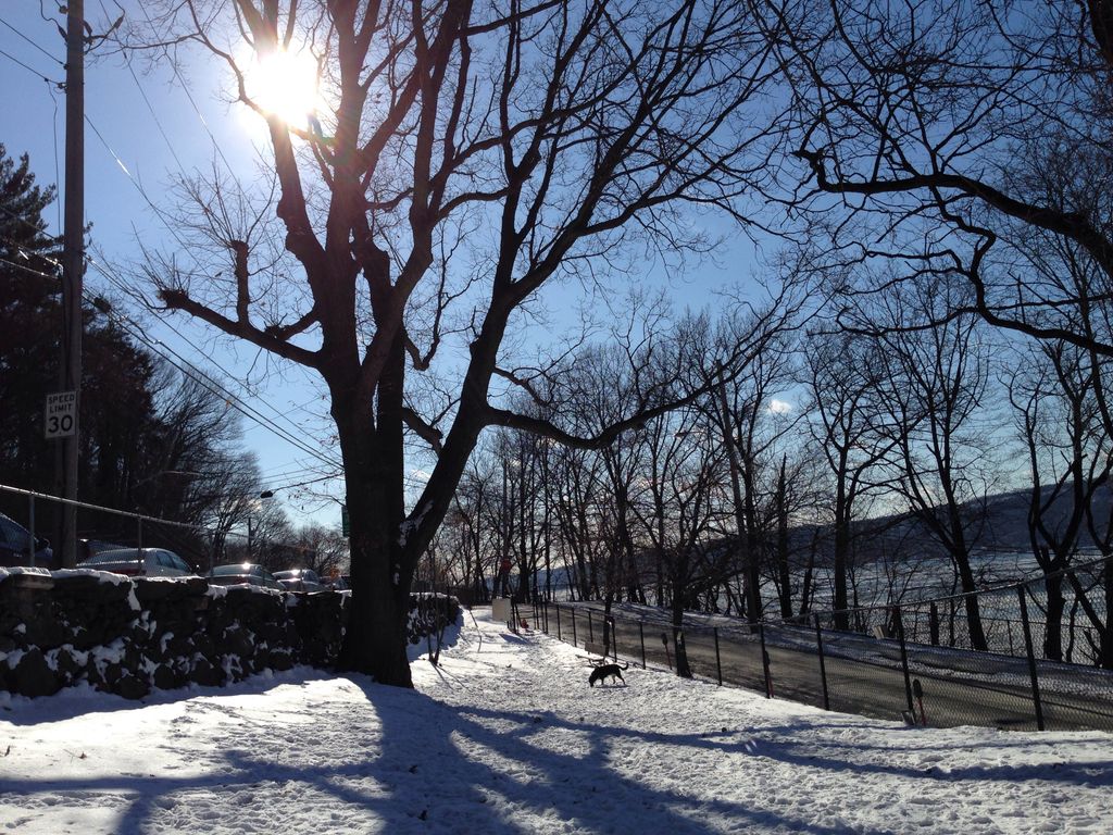 At the dog park with this sweet girl. 
