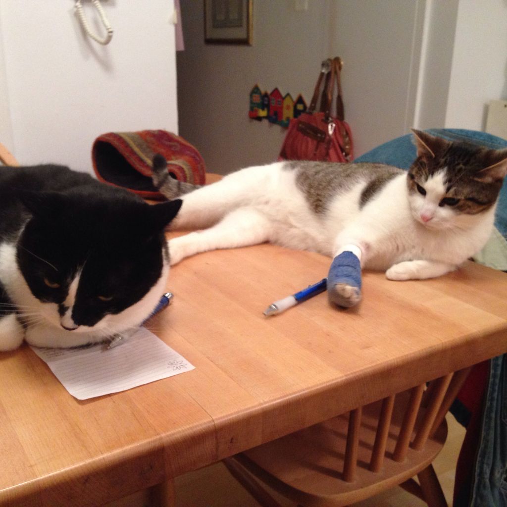 These brothers were reminding me to text their fam