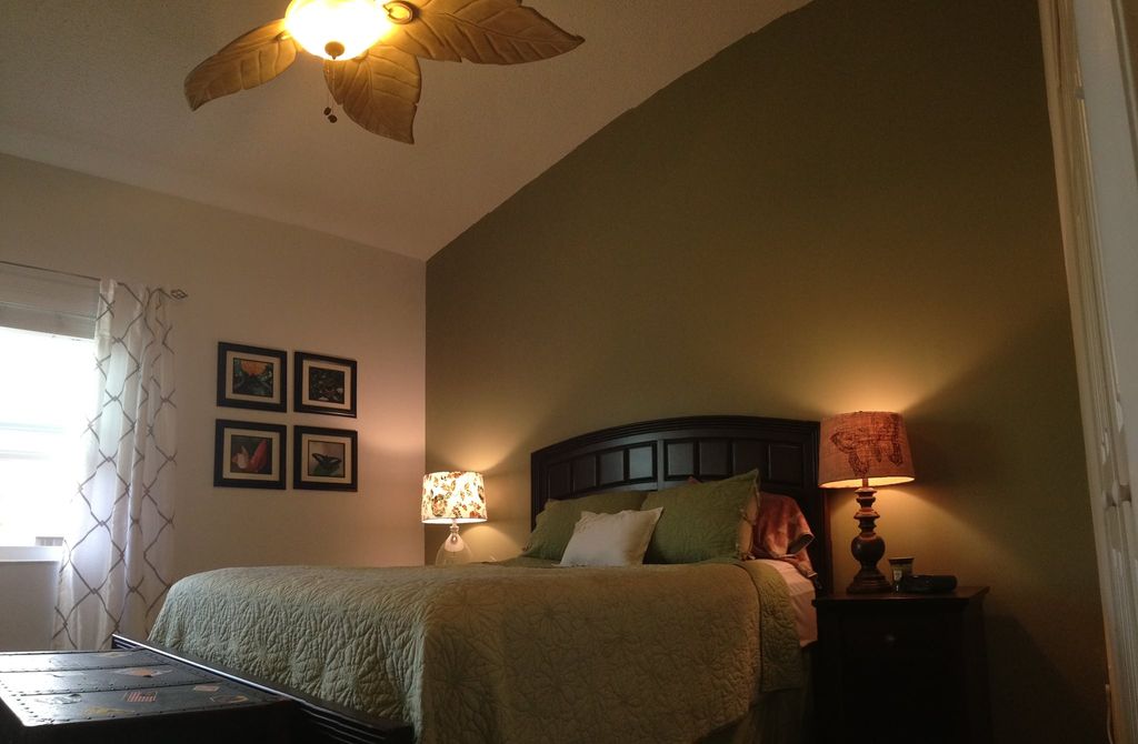 Painted, hung a ceiling fan and new curtains in th