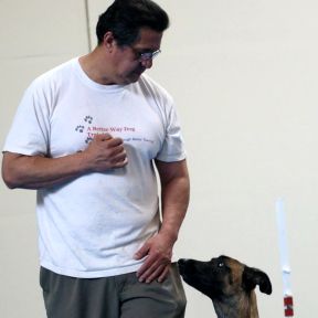 A Better Way Dog Training