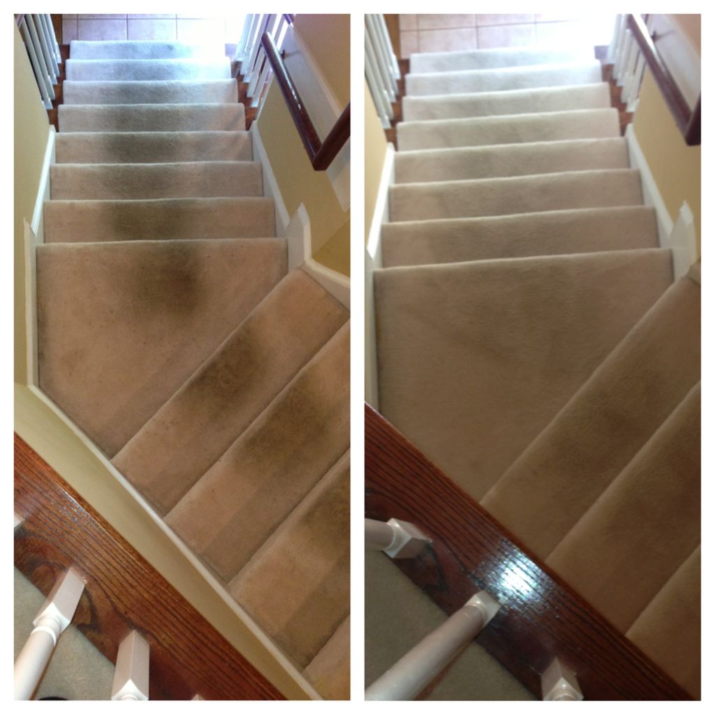 Carpeted stairs which were not cleaned in over 15 