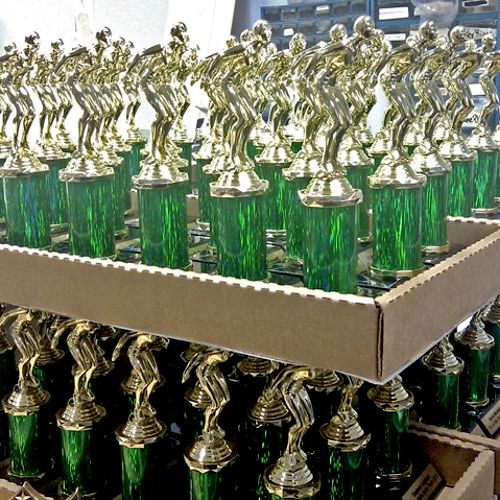 Sports and Corporate Trophies and Awards 4-5 Day P
