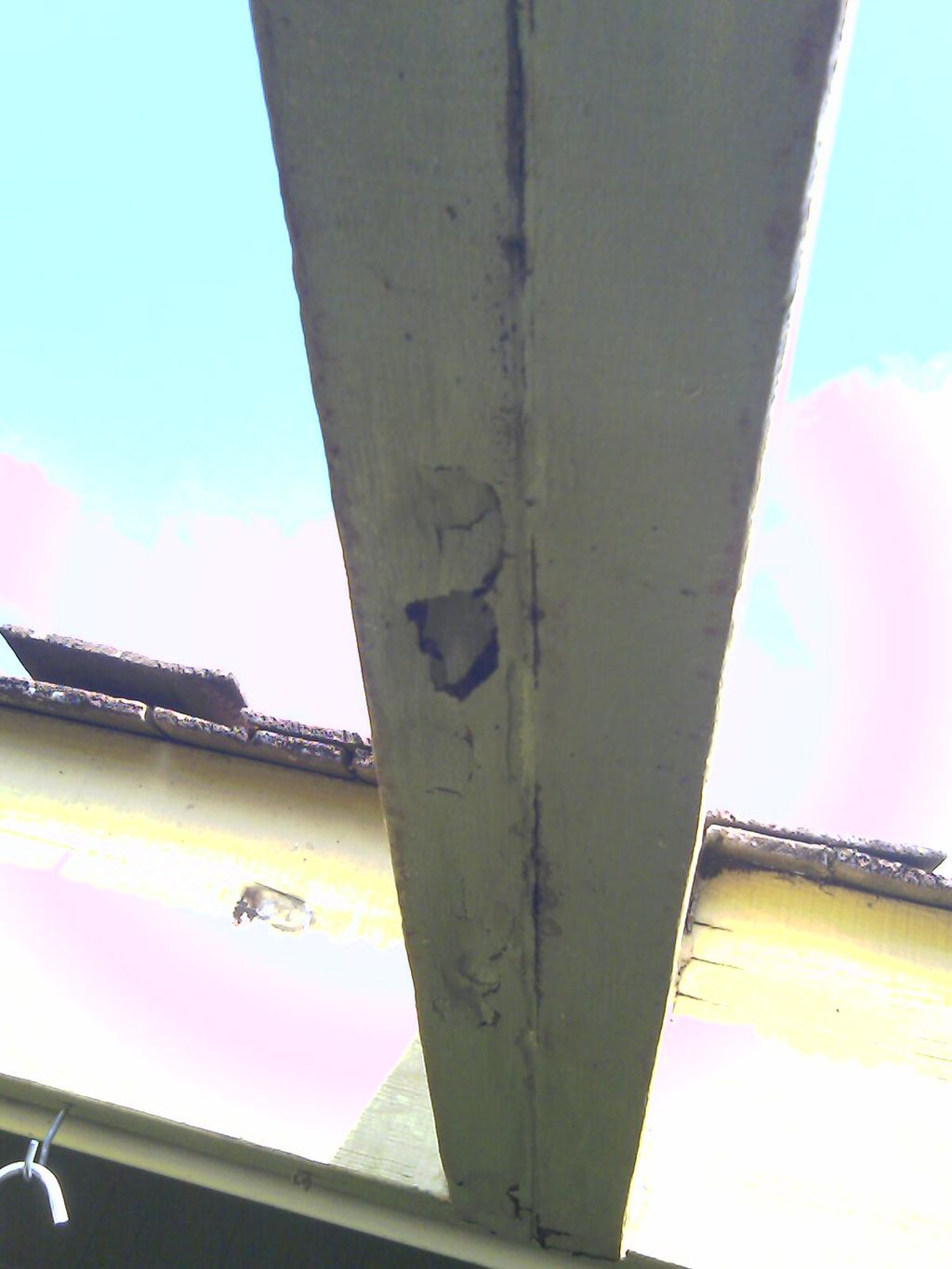 Carpentry- Wood Rot Replacement