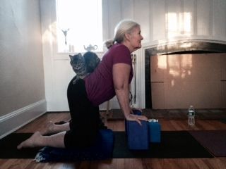 Therapeutic Yoga Private - Student in Cow Pose