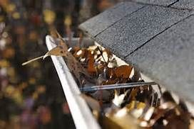 Gutter Cleaning
