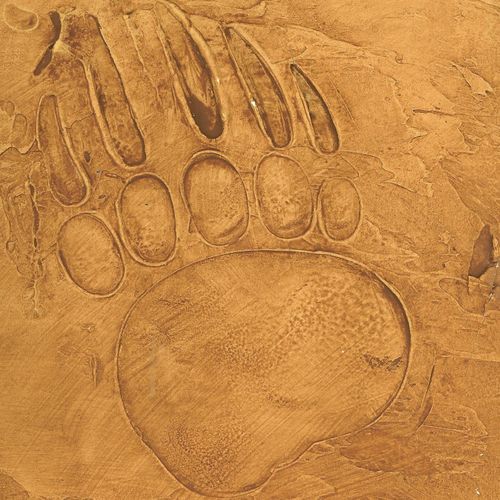 Rustic bear paw design that is imbedded in the pla