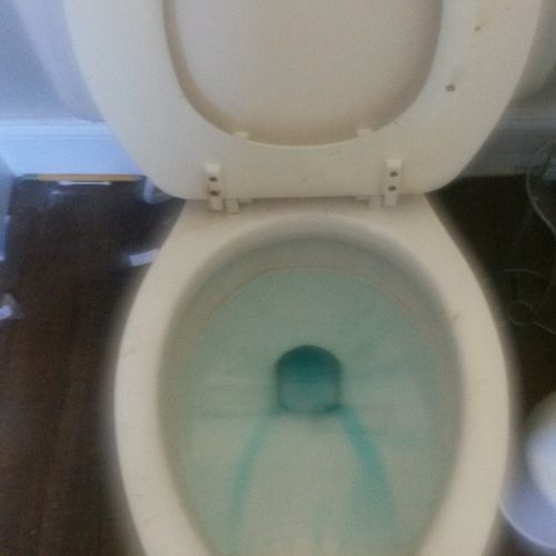 The toilet before.