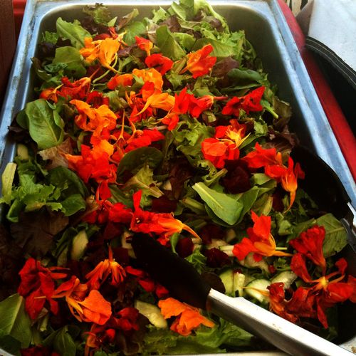 Seasonal salad with edible flowers!