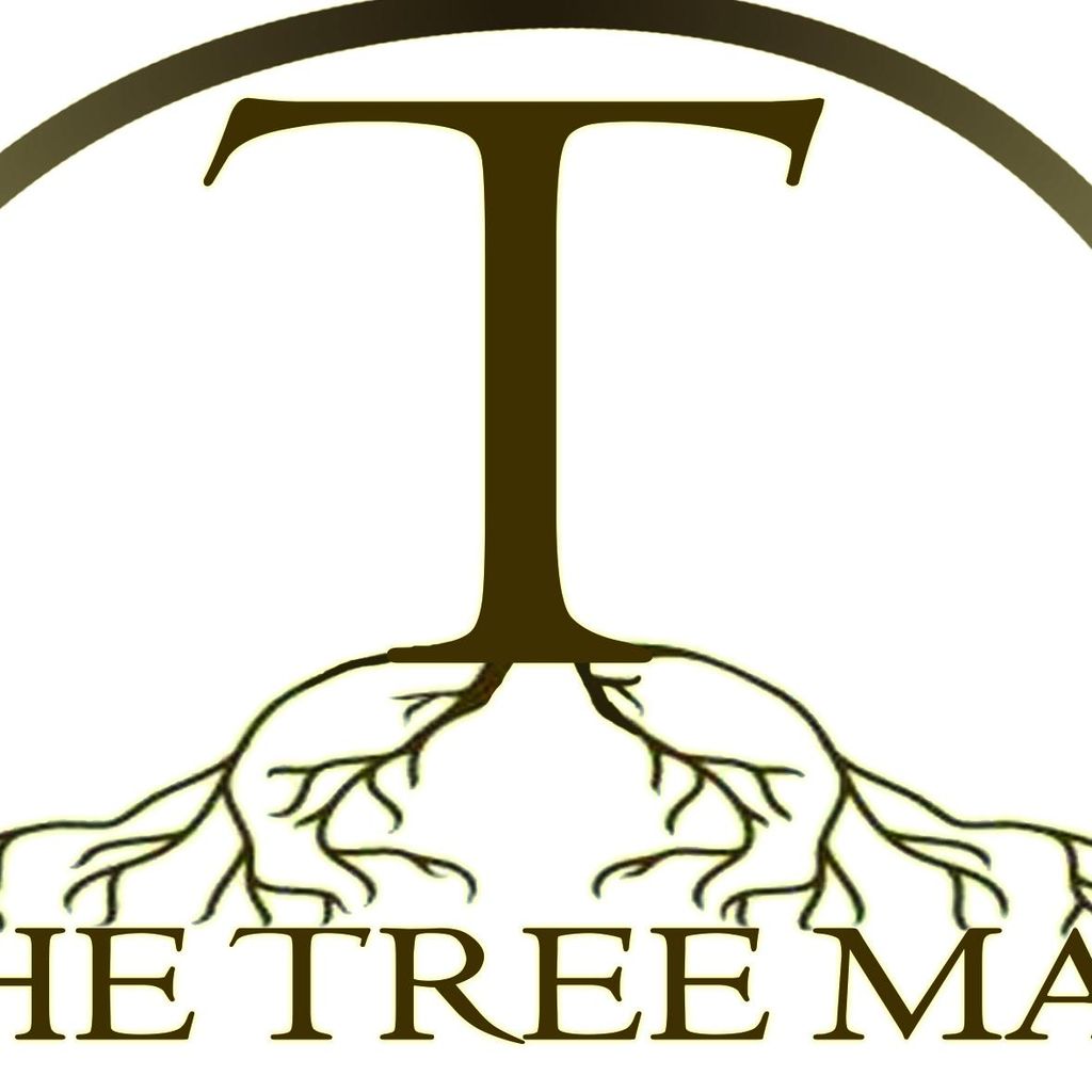 T. The Tree Man
