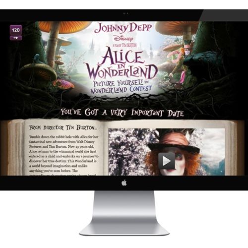 Alice in Wonderland
Picture Yourself in Wonderland