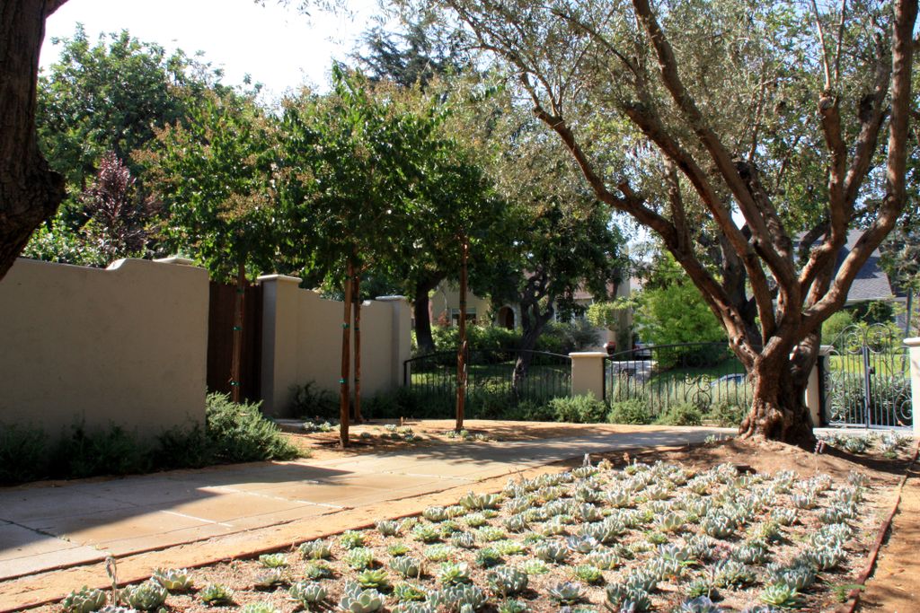 Landscape installation by Supergreen Landscape