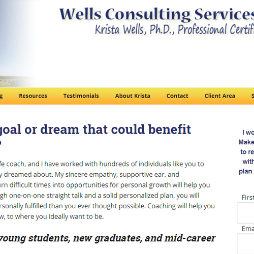 Wells Consulting Services website
design & custom 