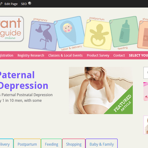 Expectant Mother's Guide website
custom WordPress 