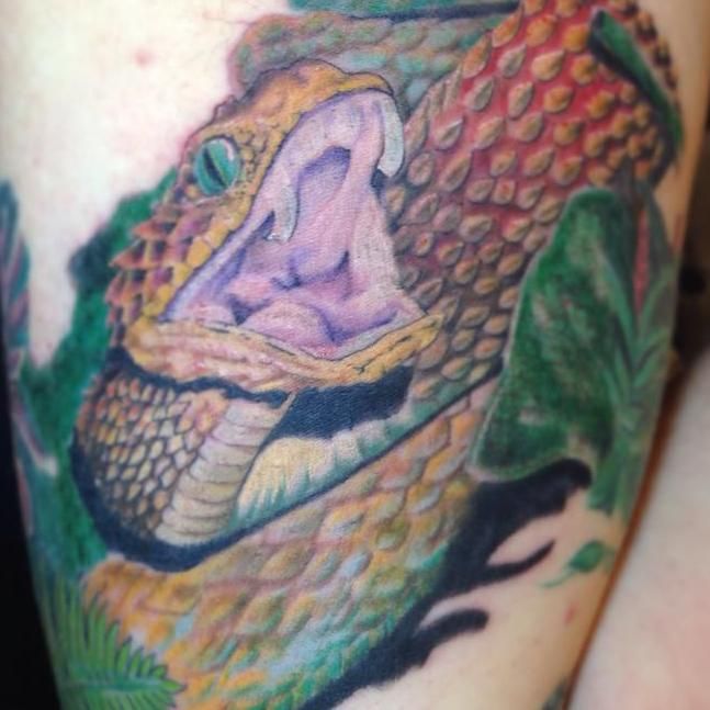 Bad Fish Tattoo Studio