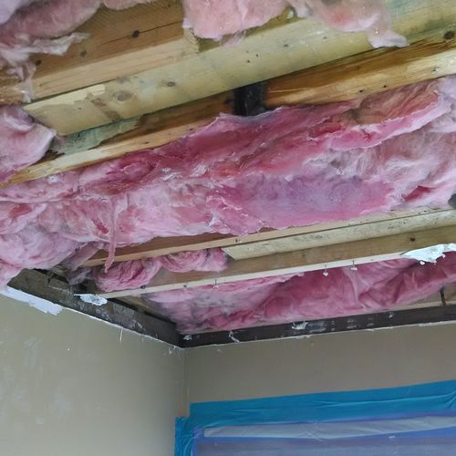 Water damaged insulation