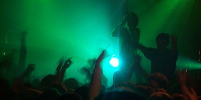 National and Local Artists/Bands