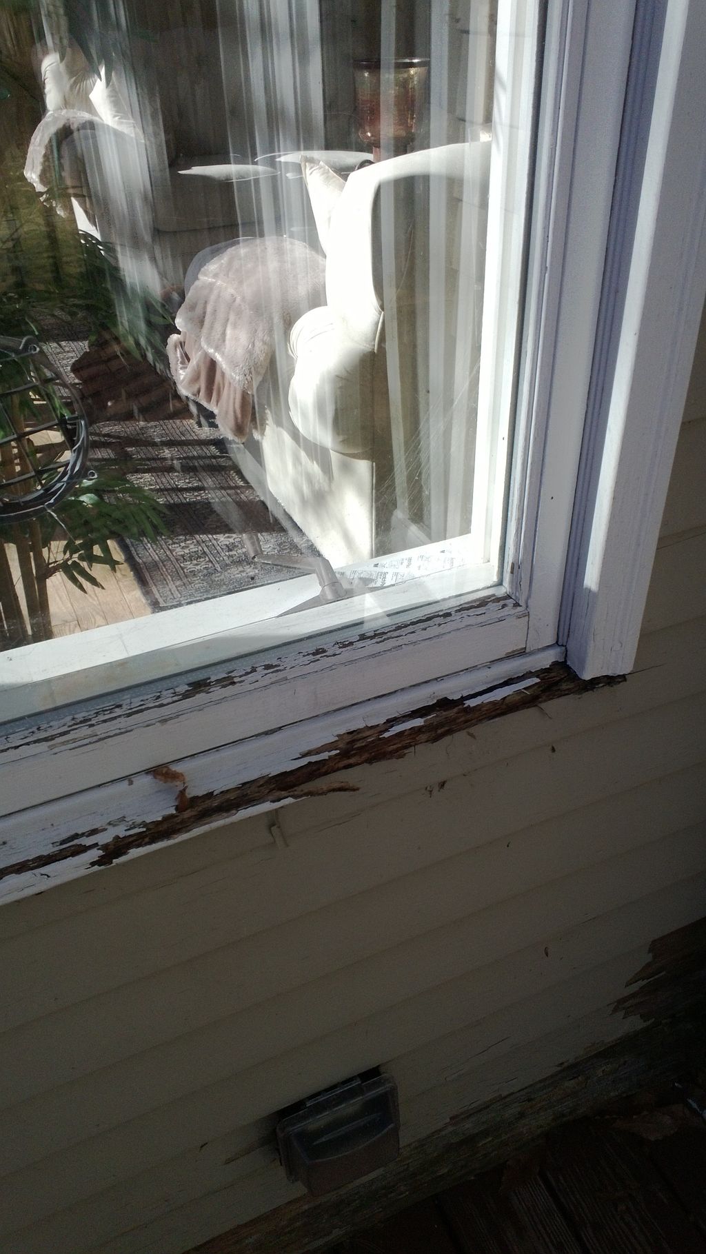 Rotted window sill and casing
