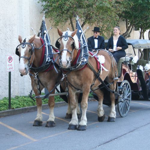 Wedding Carriage