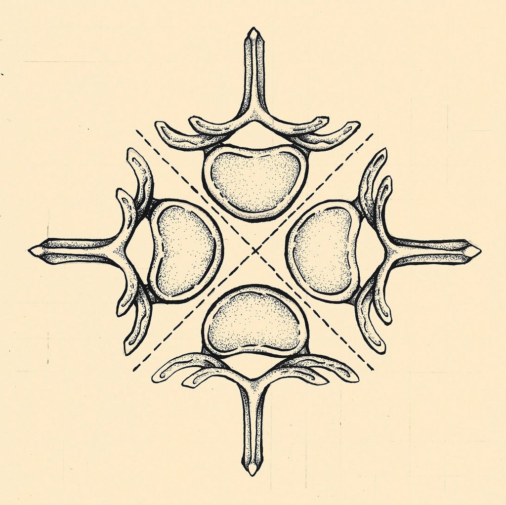 Ink
