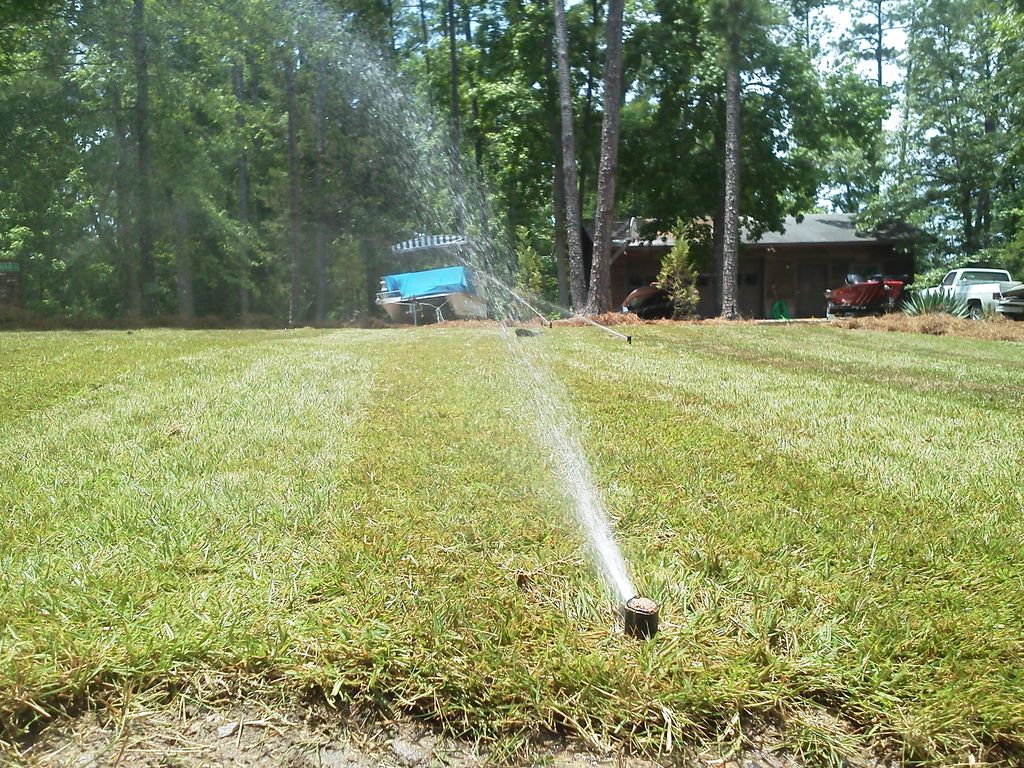 new sod and irrigation