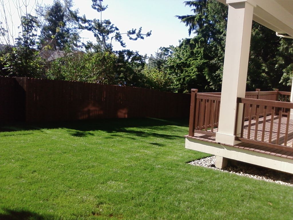 New Lawn and Fence