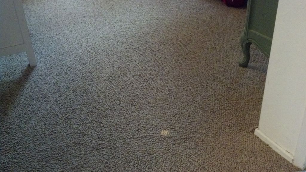 Bleach stain before