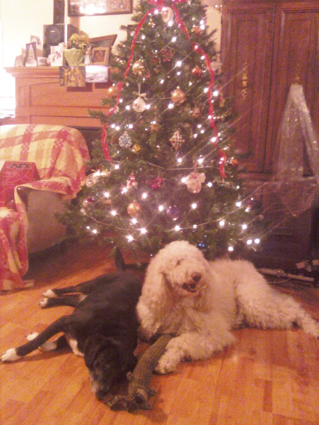 Riley and Max 'laid down' and 'waited'/'Stayed' in
